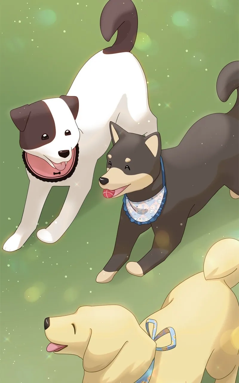 Read The Dog Diaries chapter 224 image 29 on Lezhin