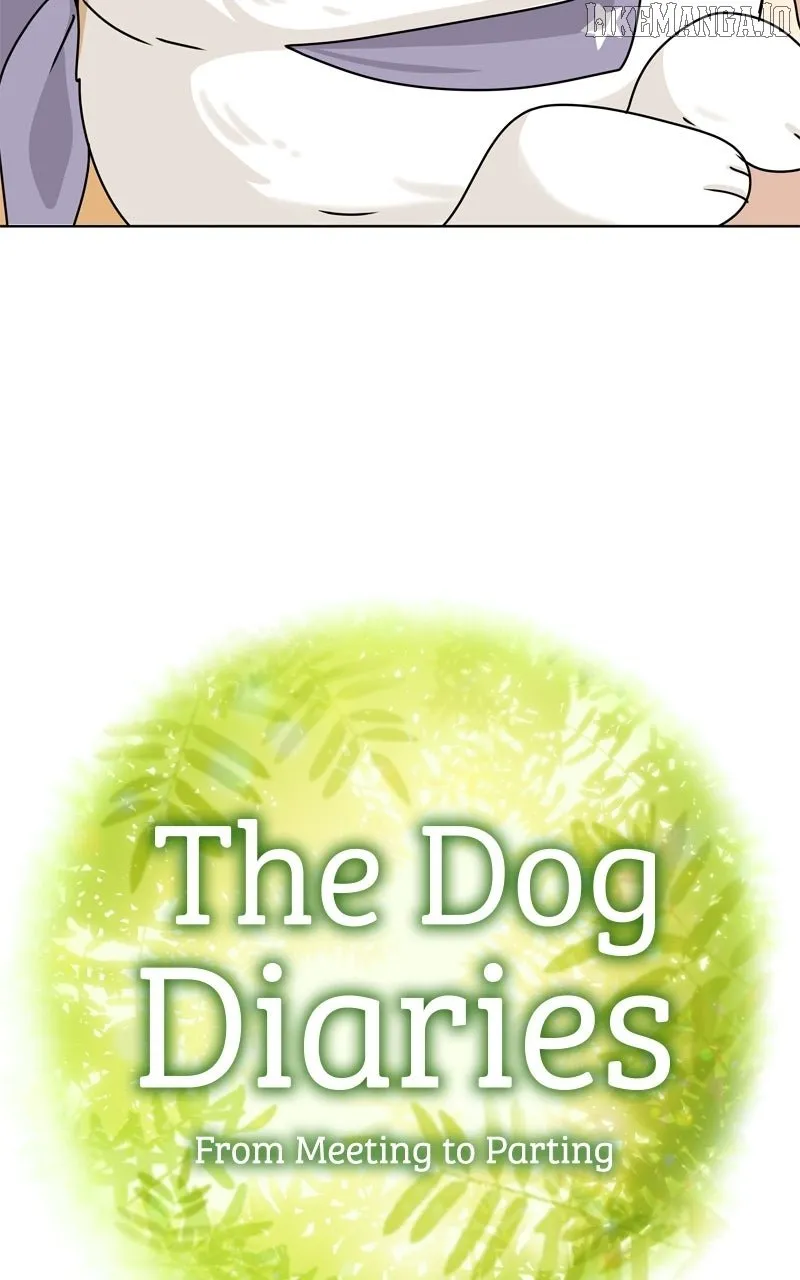 Read The Dog Diaries chapter 229 image 12 on Lezhin