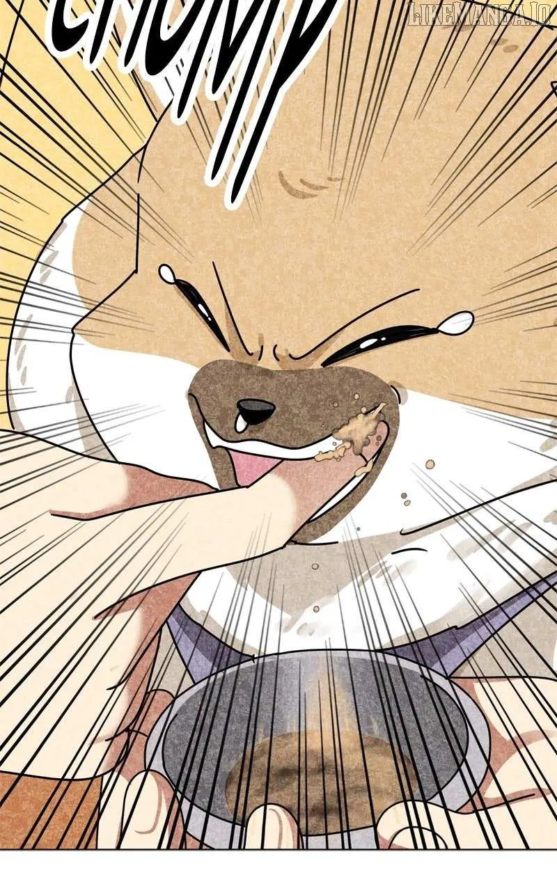 Read The Dog Diaries chapter 229 image 92 on Lezhin