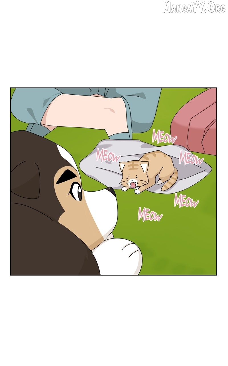 Read The Dog Diaries chapter 239 image 40 on Lezhin