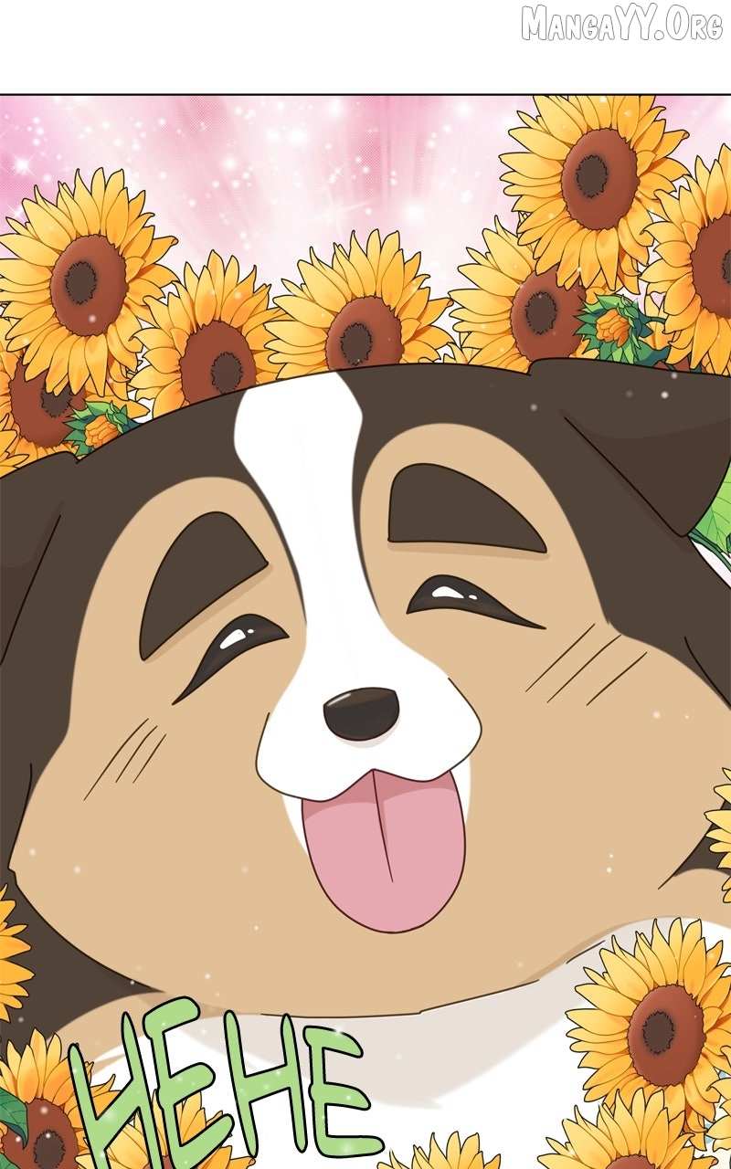 Read The Dog Diaries chapter 239 image 5 on Lezhin