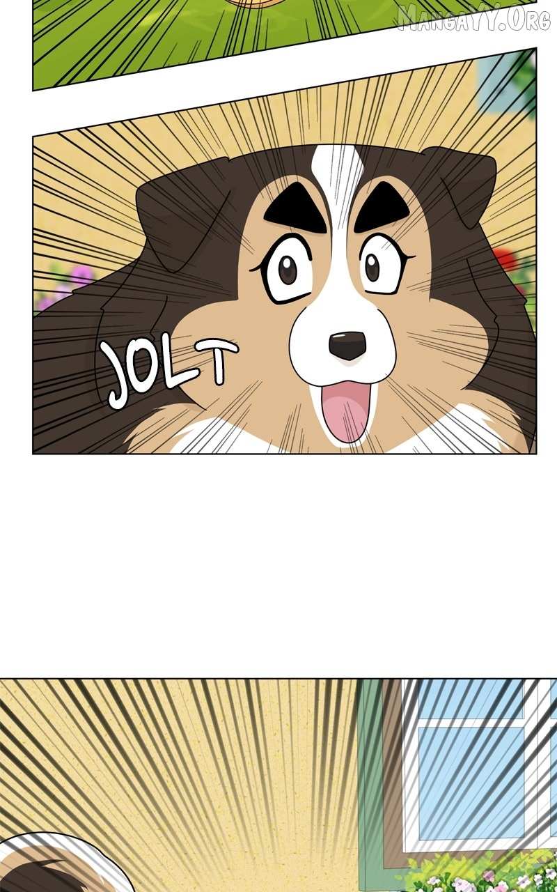 Read The Dog Diaries chapter 239 image 8 on Lezhin