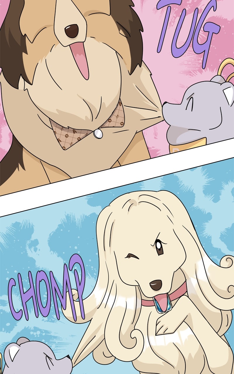 Read The Dog Diaries chapter 246 image 13 on Lezhin
