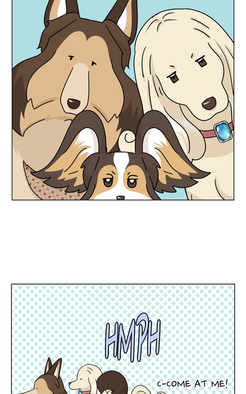 Read The Dog Diaries chapter 246 image 35 on Lezhin