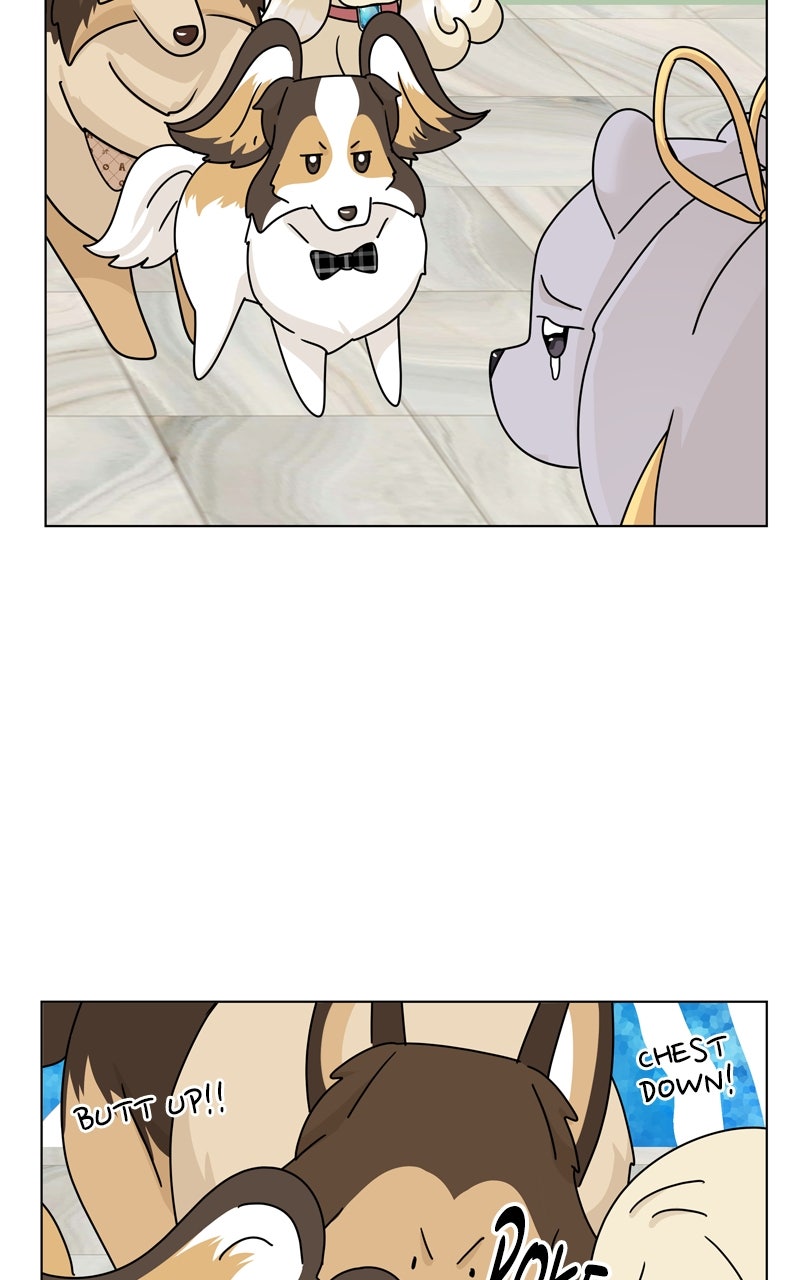 Read The Dog Diaries chapter 246 image 49 on Lezhin