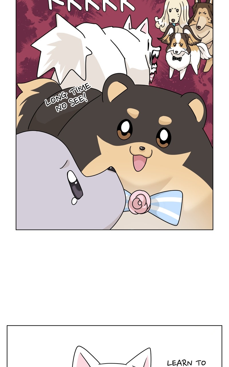 Read The Dog Diaries chapter 246 image 56 on Lezhin