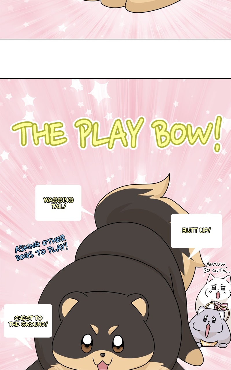 Read The Dog Diaries chapter 246 image 64 on Lezhin