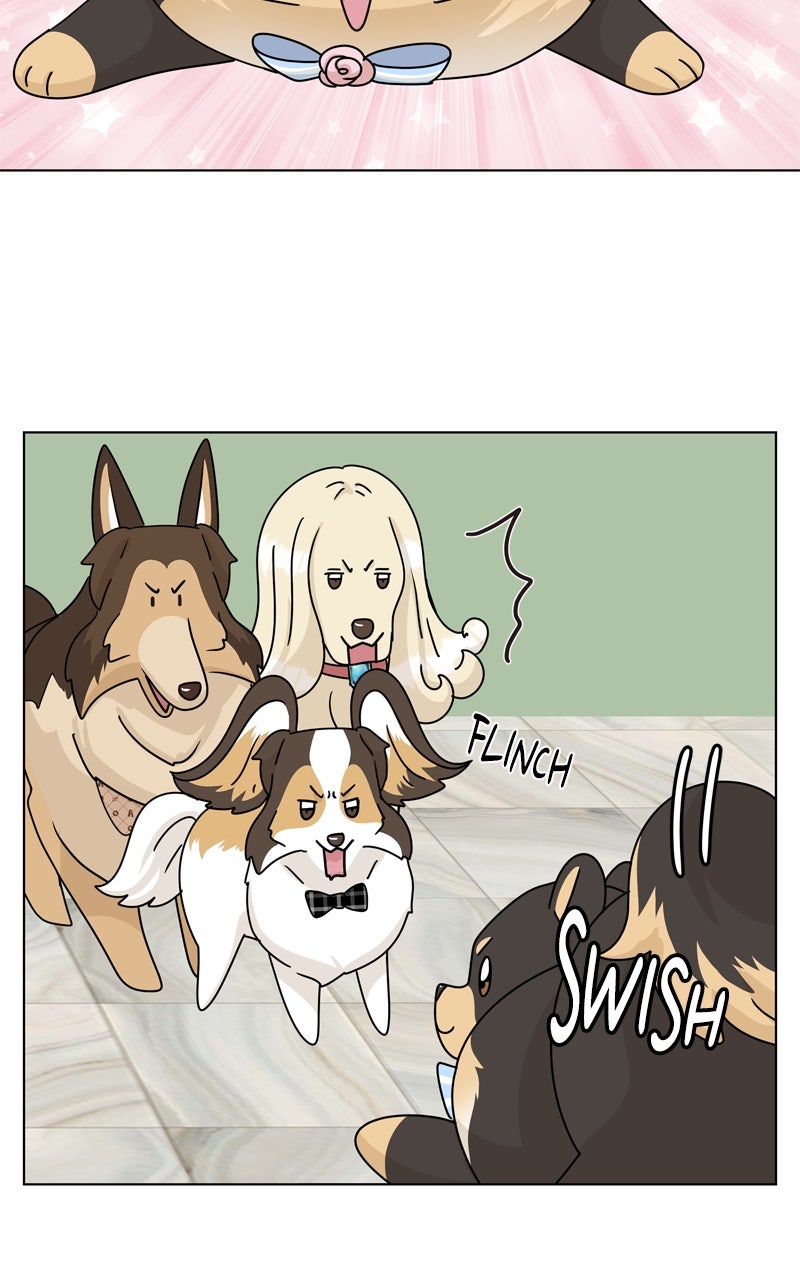 Read The Dog Diaries chapter 246 image 65 on Lezhin