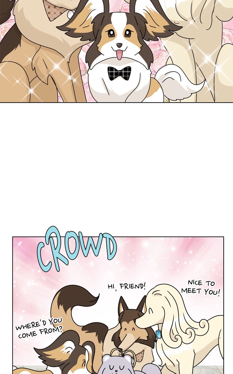 Read The Dog Diaries chapter 246 image 9 on Lezhin