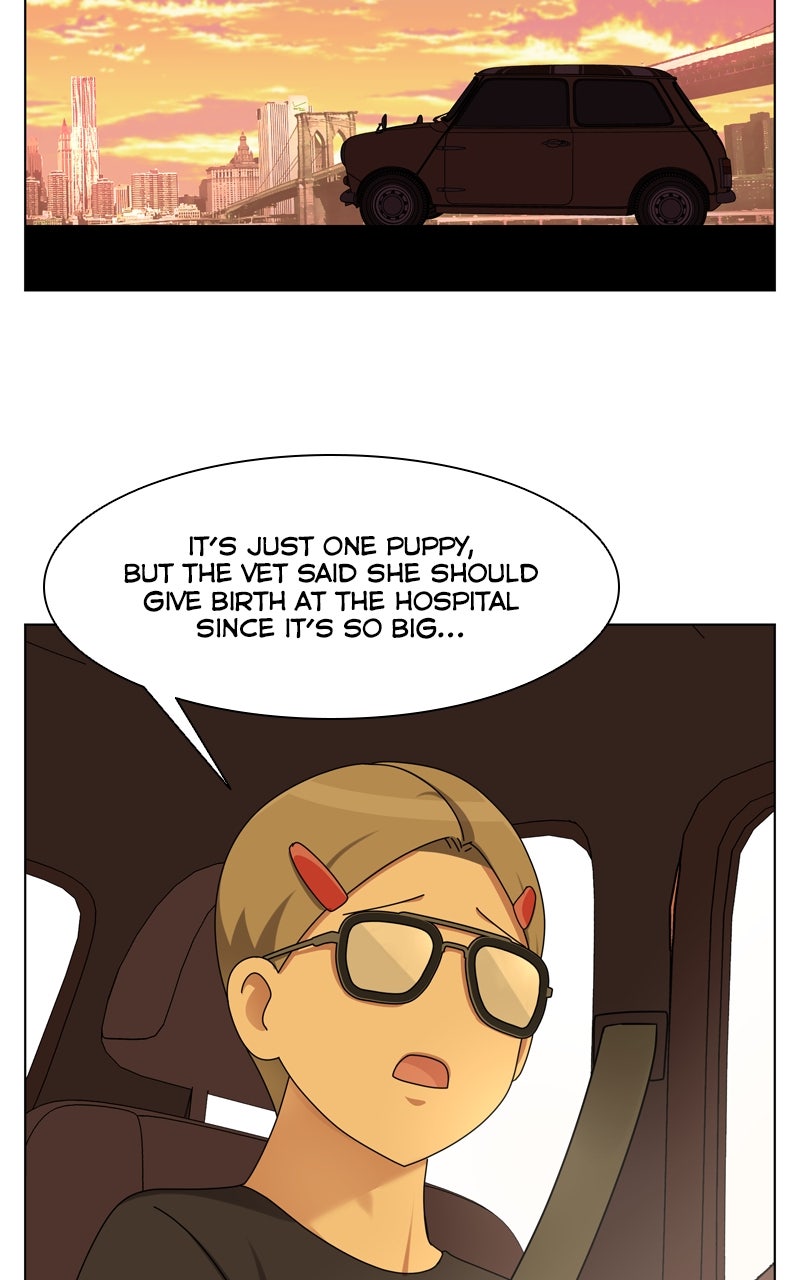 Read The Dog Diaries chapter 247 image 67 on Lezhin