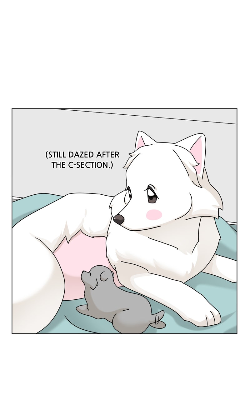 Read The Dog Diaries chapter 247 image 71 on Lezhin