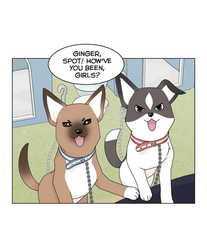Read The Dog Diaries chapter 36 image 0 on Lezhin