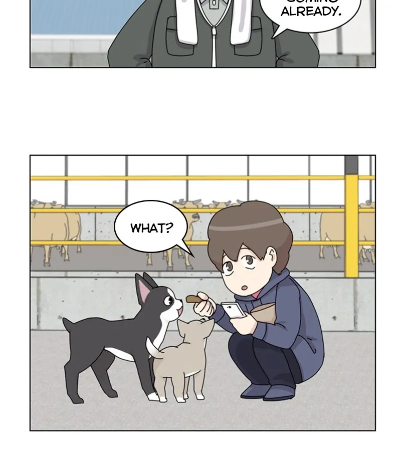 Read The Dog Diaries chapter 36 image 11 on Lezhin
