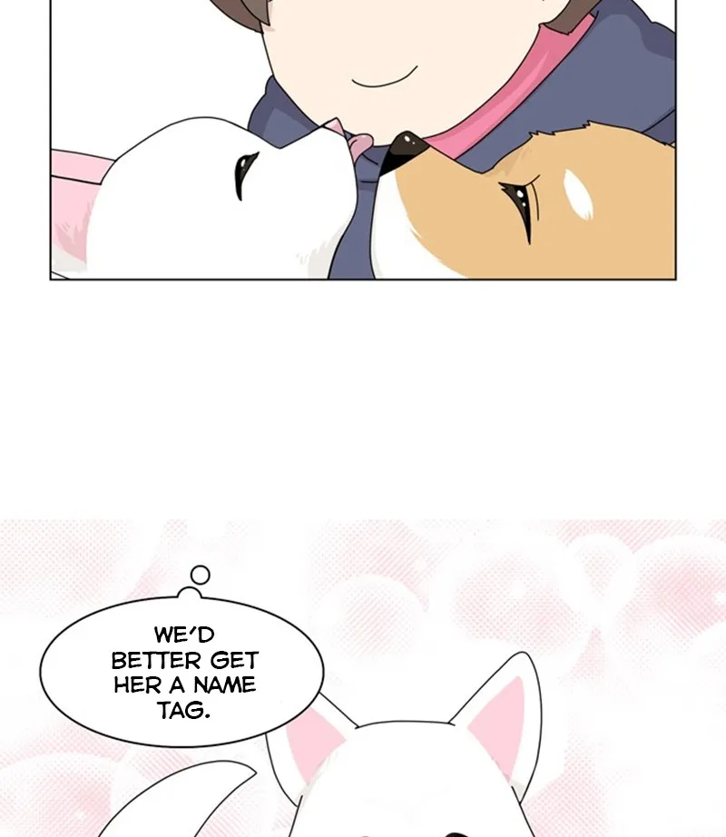Read The Dog Diaries chapter 36 image 23 on Lezhin