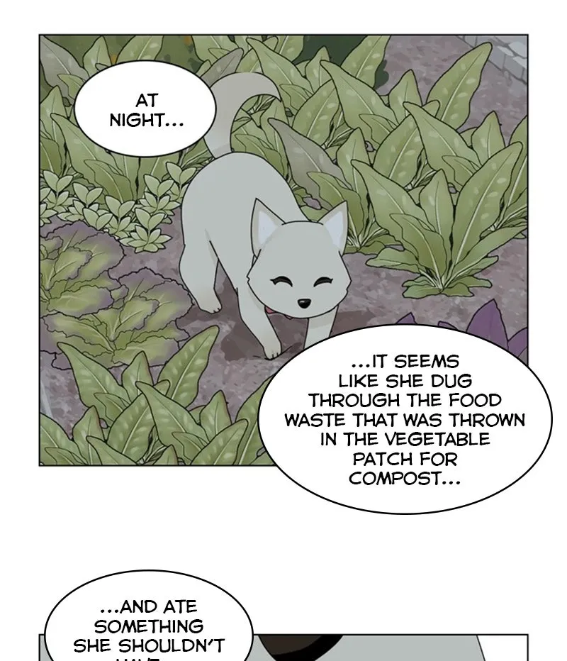 Read The Dog Diaries chapter 36 image 32 on Lezhin