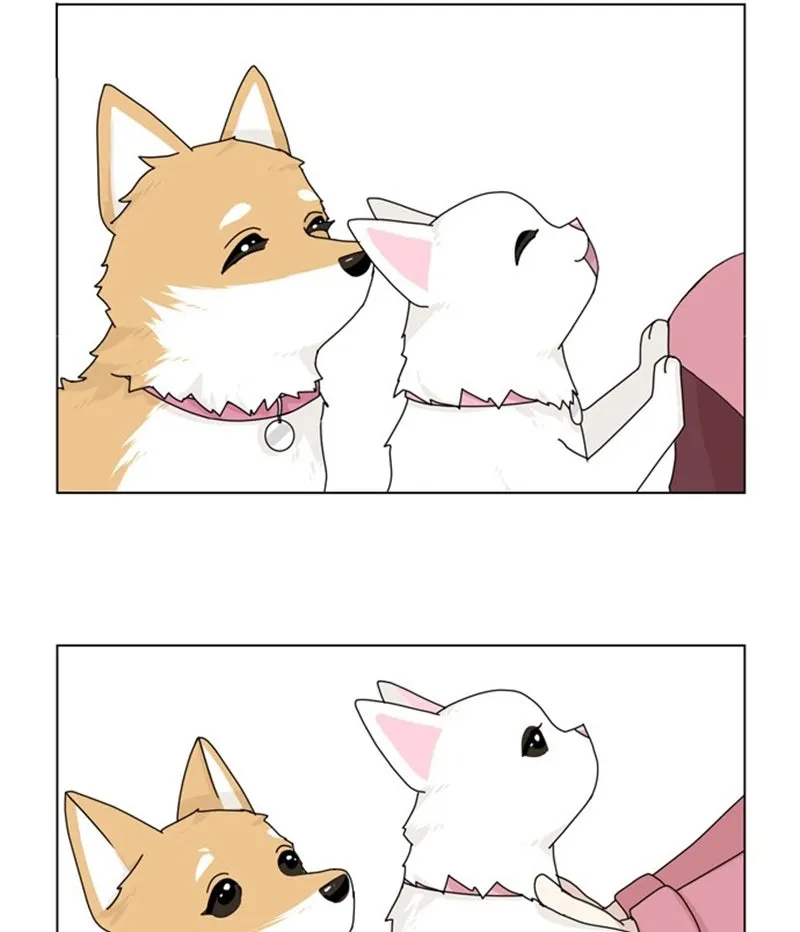 Read The Dog Diaries chapter 36 image 42 on Lezhin