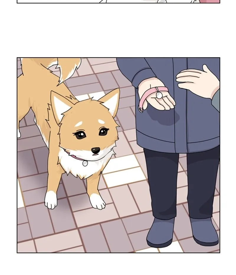 Read The Dog Diaries chapter 36 image 45 on Lezhin