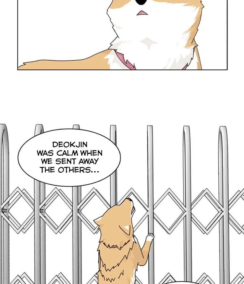 Read The Dog Diaries chapter 36 image 48 on Lezhin