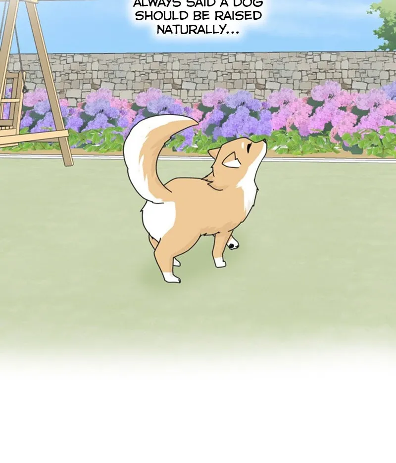 Read The Dog Diaries chapter 36 image 65 on Lezhin