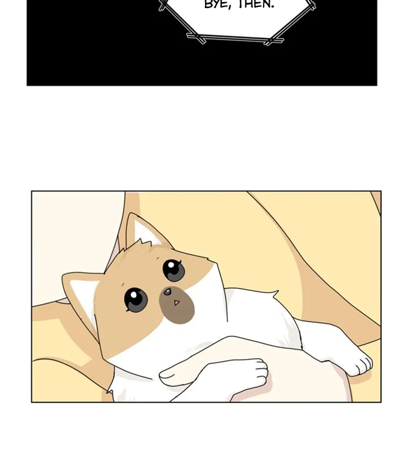 Read The Dog Diaries chapter 36 image 68 on Lezhin