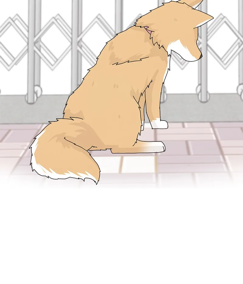 Read The Dog Diaries chapter 36 image 72 on Lezhin