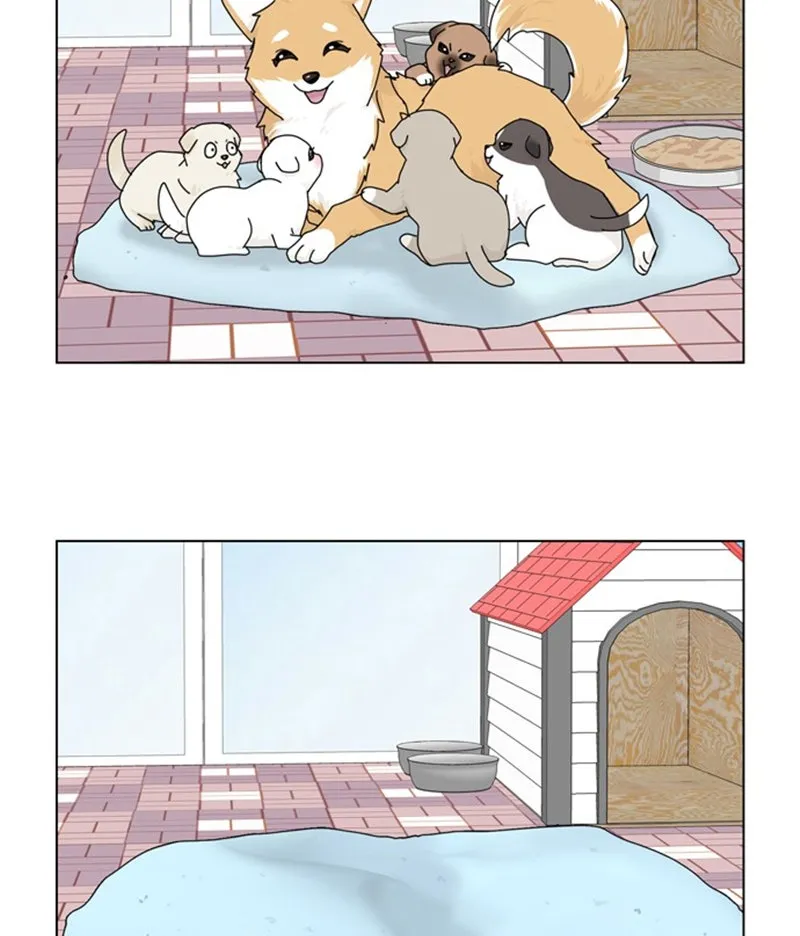 Read The Dog Diaries chapter 36 image 77 on Lezhin