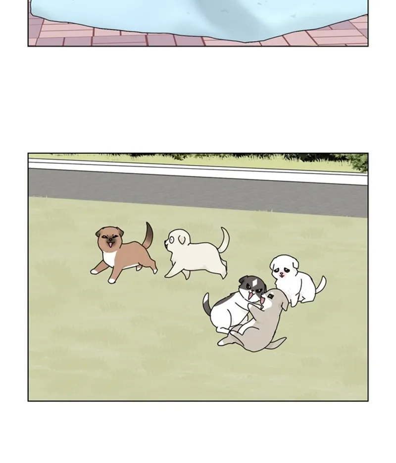 Read The Dog Diaries chapter 36 image 78 on Lezhin