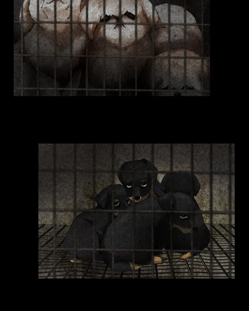 Read The Dog Diaries chapter 43 image 1 on Lezhin