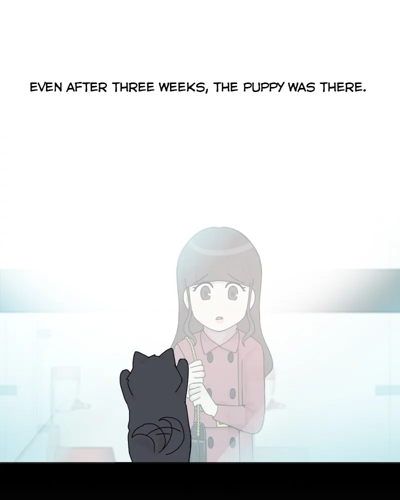 Read The Dog Diaries chapter 43 image 10 on Lezhin