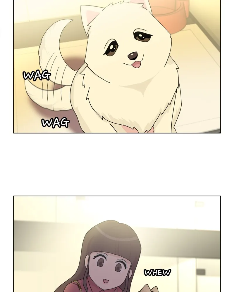 Read The Dog Diaries chapter 43 image 19 on Lezhin