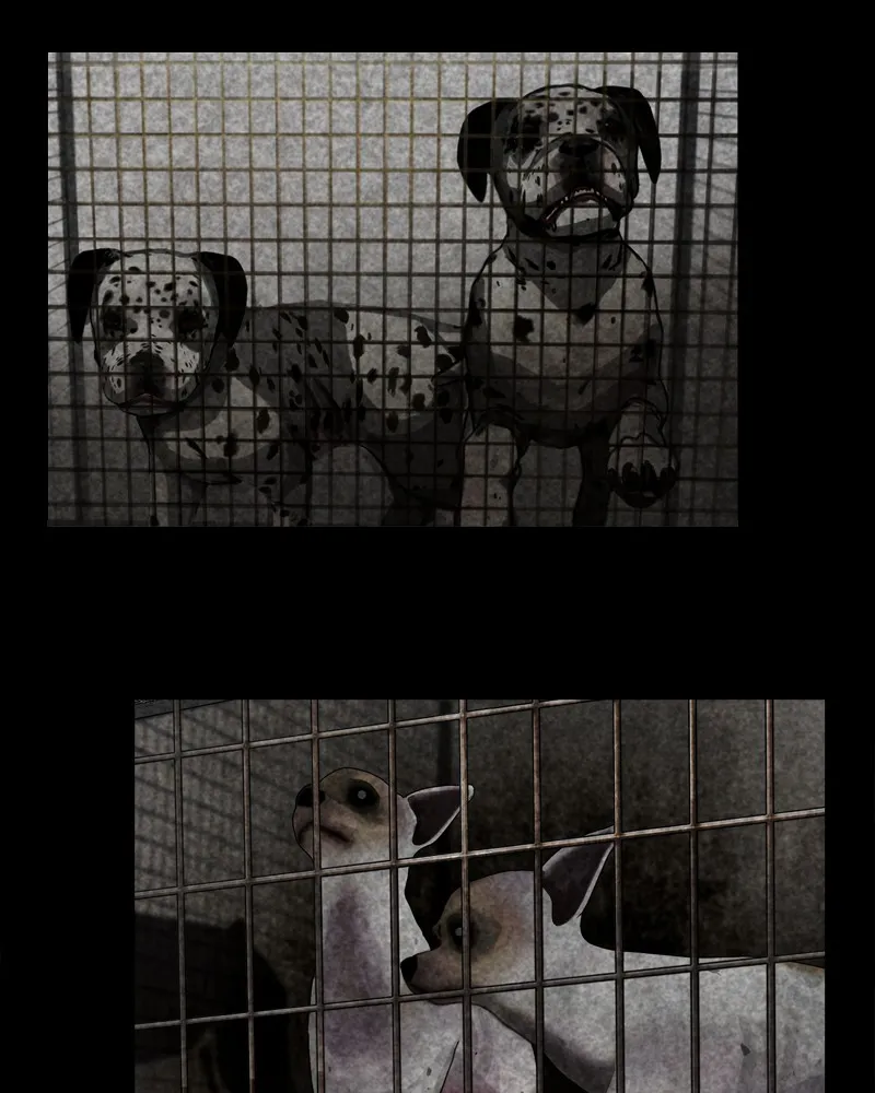 Read The Dog Diaries chapter 43 image 2 on Lezhin