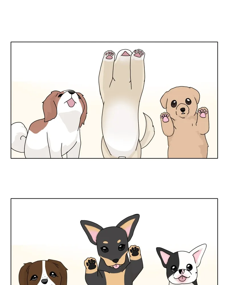 Read The Dog Diaries chapter 43 image 28 on Lezhin
