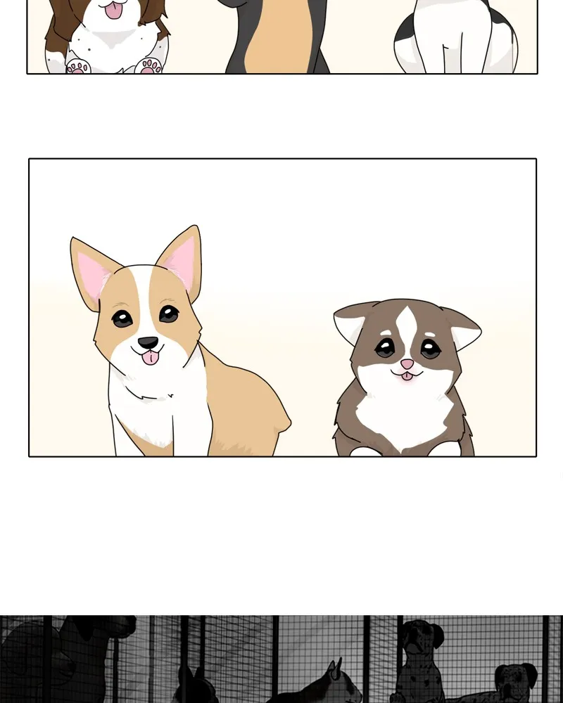 Read The Dog Diaries chapter 43 image 29 on Lezhin