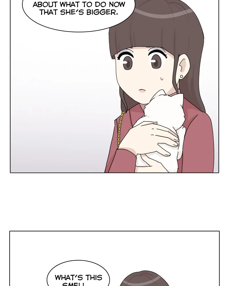 Read The Dog Diaries chapter 43 image 41 on Lezhin