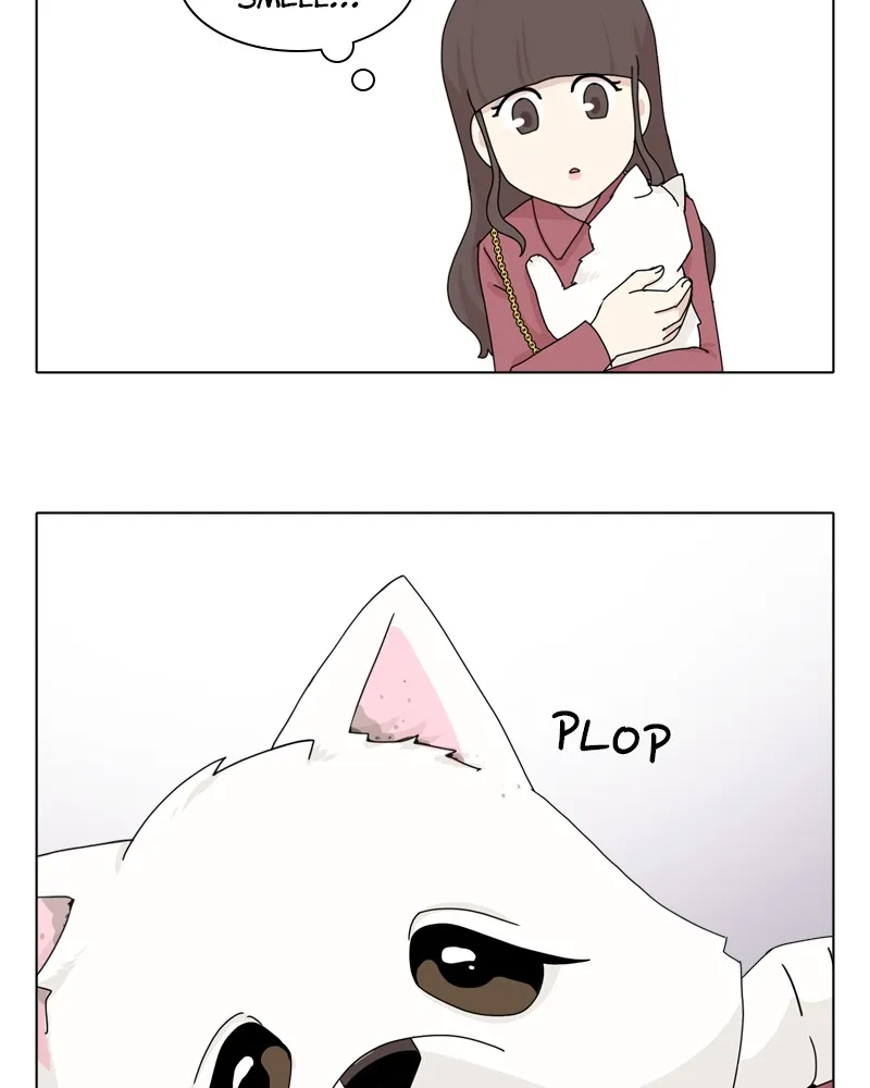 Read The Dog Diaries chapter 43 image 42 on Lezhin