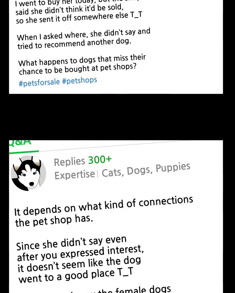 Read The Dog Diaries chapter 43 image 5 on Lezhin
