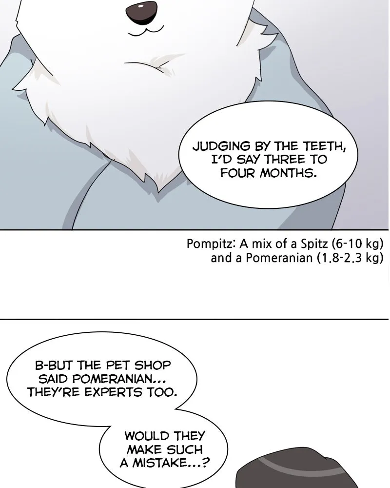 Read The Dog Diaries chapter 43 image 61 on Lezhin