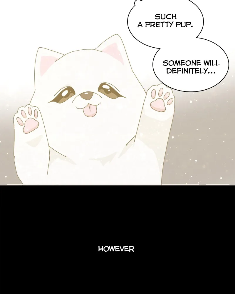 Read The Dog Diaries chapter 43 image 8 on Lezhin