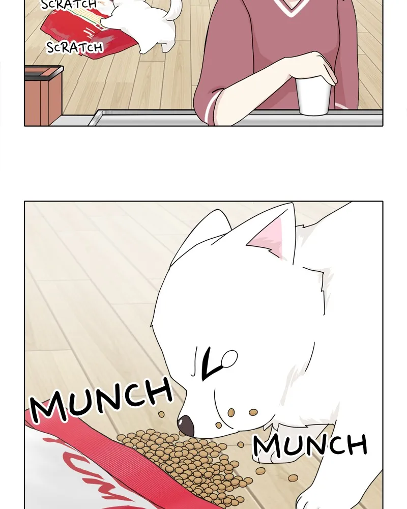 Read The Dog Diaries chapter 43 image 81 on Lezhin