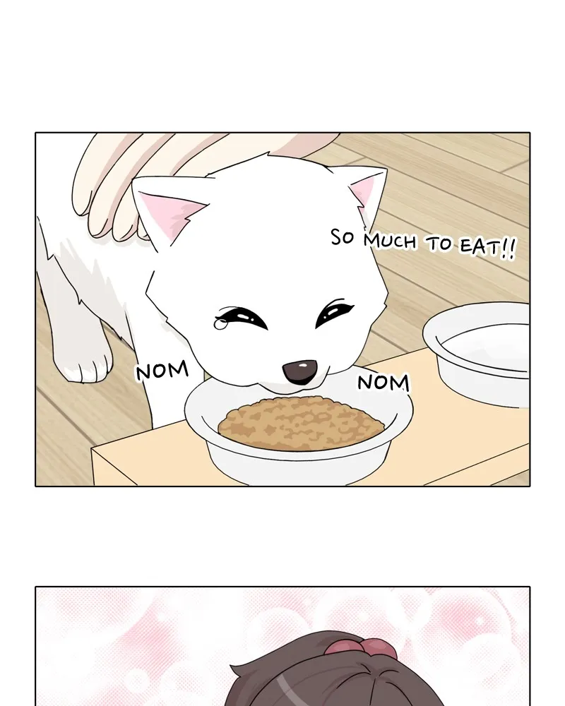 Read The Dog Diaries chapter 43 image 85 on Lezhin