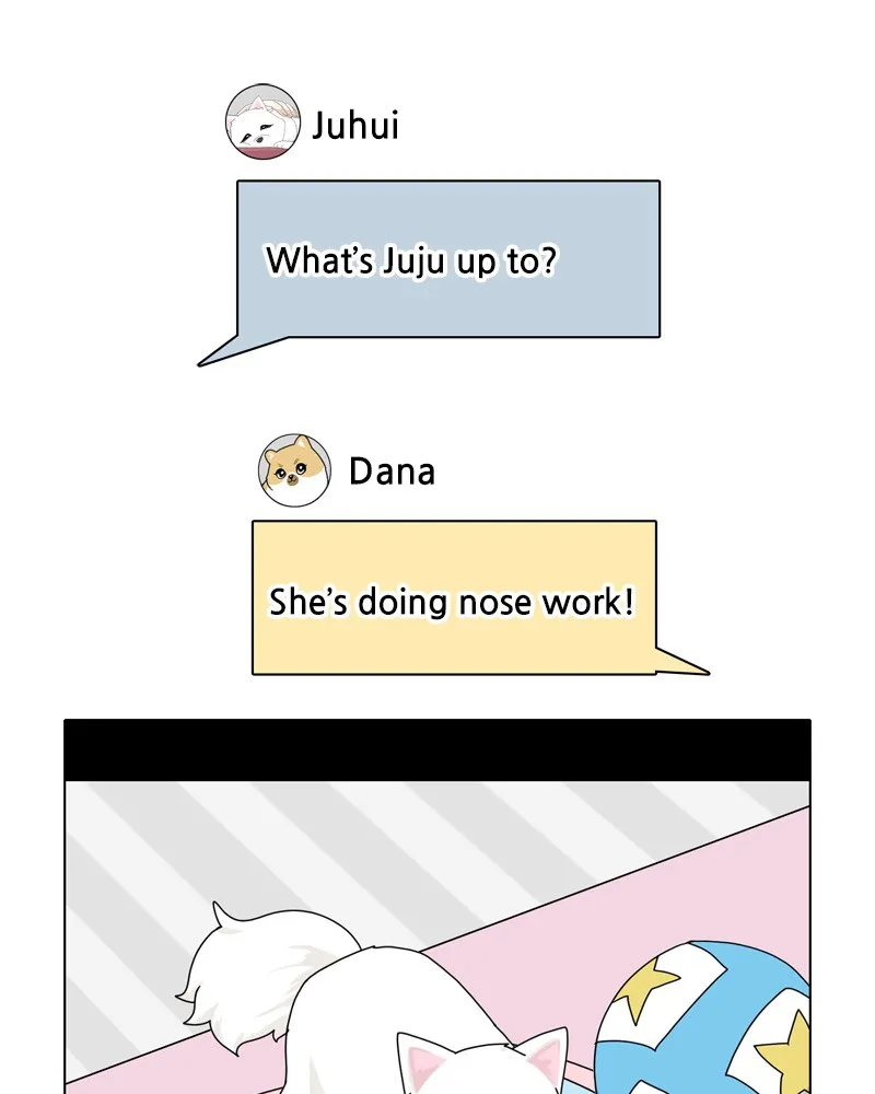 Read The Dog Diaries chapter 49 image 0 on Lezhin