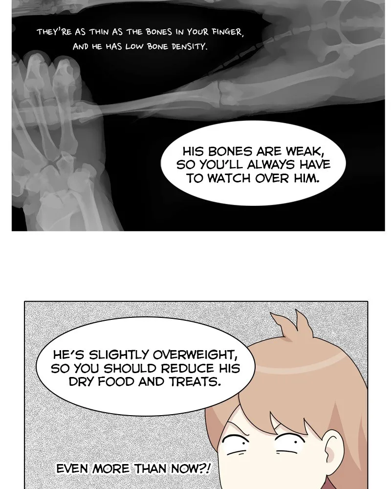 Read The Dog Diaries chapter 49 image 54 on Lezhin