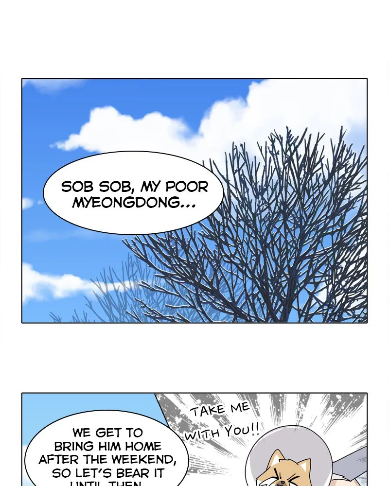 Read The Dog Diaries chapter 49 image 59 on Lezhin