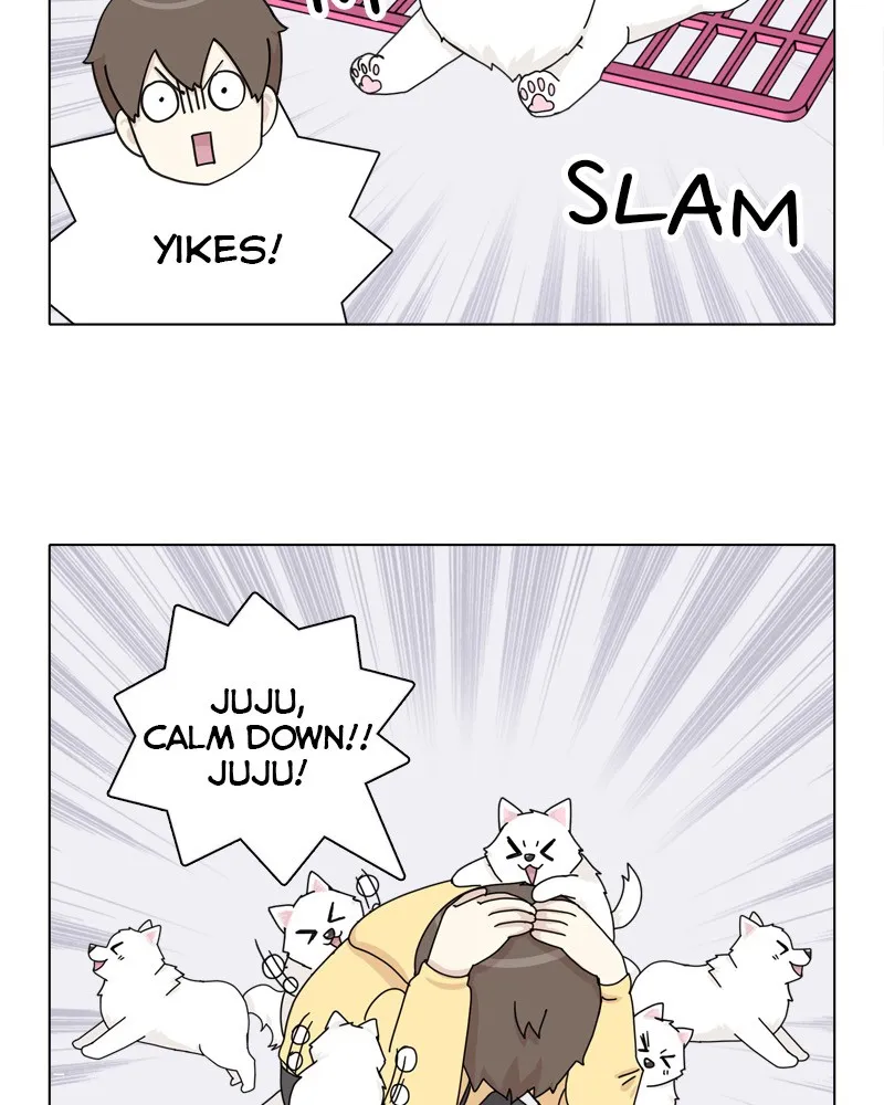 Read The Dog Diaries chapter 49 image 66 on Lezhin