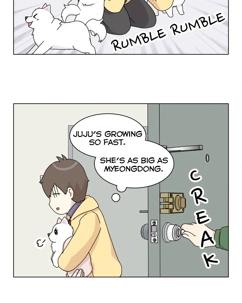Read The Dog Diaries chapter 49 image 67 on Lezhin