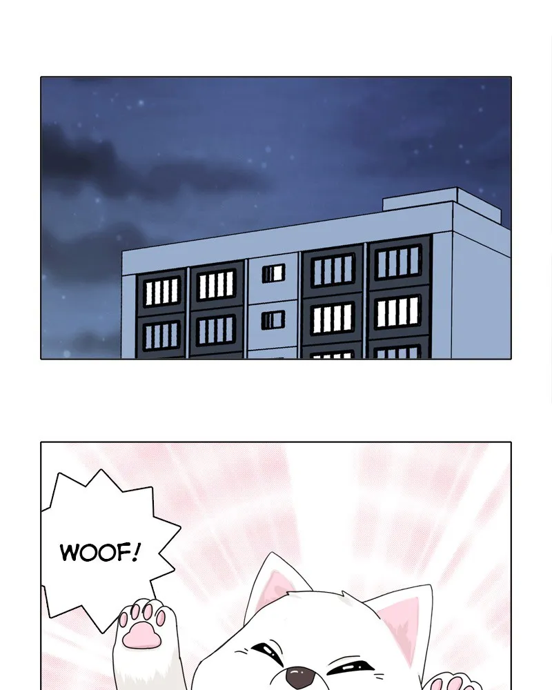 Read The Dog Diaries chapter 49 image 8 on Lezhin