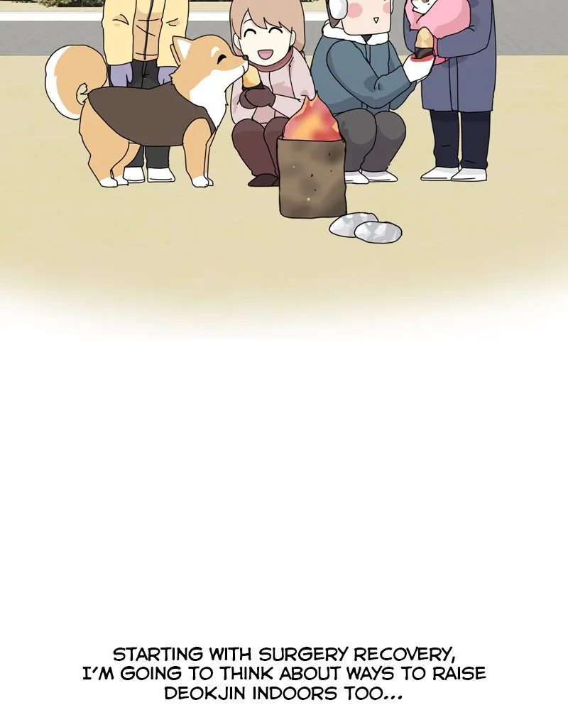 Read The Dog Diaries chapter 51 image 43 on Lezhin