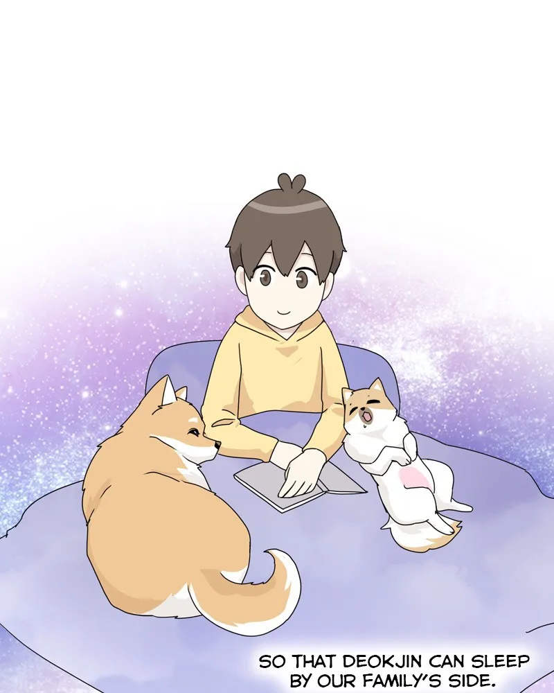 Read The Dog Diaries chapter 51 image 44 on Lezhin