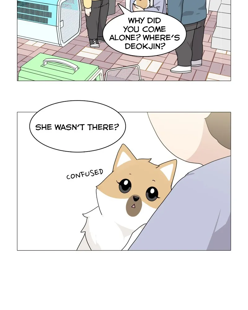 Read The Dog Diaries chapter 51 image 59 on Lezhin