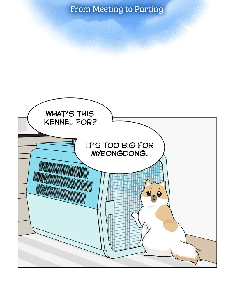 Read The Dog Diaries chapter 51 image 9 on Lezhin